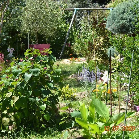 מלון Le Castel Brissac-Quince