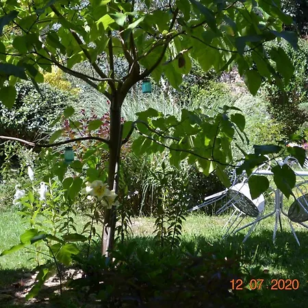 Le Castel