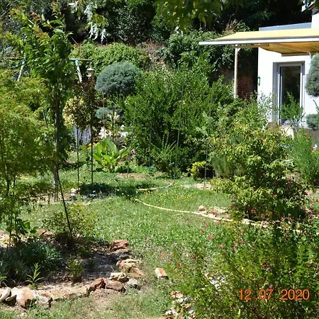 酒店 乐卡斯特酒店 Brissac-Quince