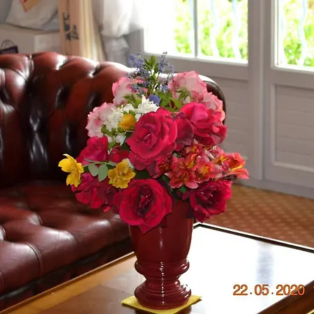 酒店 乐卡斯特酒店 3*