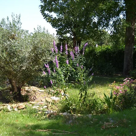Le Castel 3*