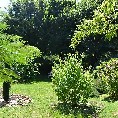 Hotel Le Castel Brissac-Quince