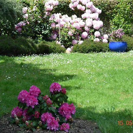 乐卡斯特酒店 酒店