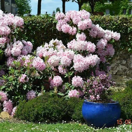 Le Castel