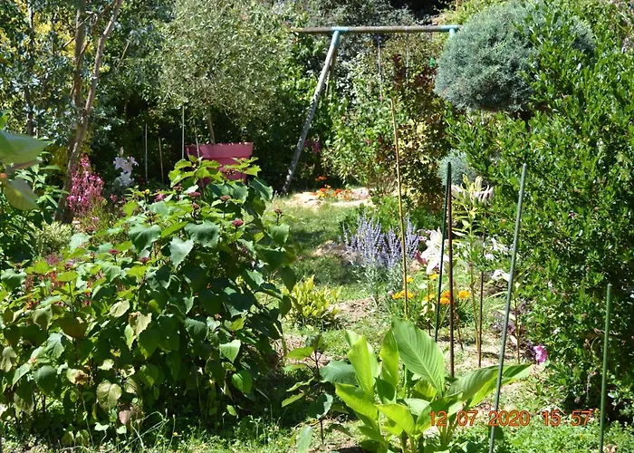 Hotel Le Castel Brissac-Quince